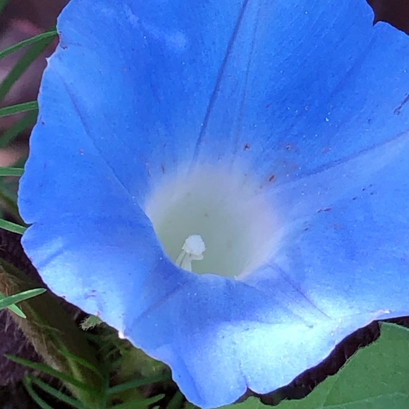 Meet your Posher, Debra - Picture 5 of 7